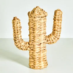 Decoratieve cactus in zeegras