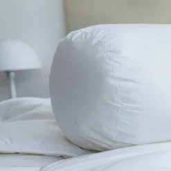 Duurzaam peluwkussen met Proneem® antihuisstofmijtbehandeling, stevig