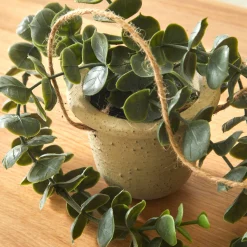 Kunstplant en hangpot