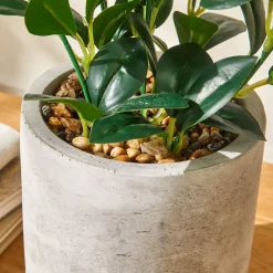 Kunstplant in pot