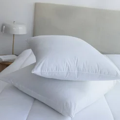 Stevig, anti-allergisch hoofdkussen met Proneem® antihuisstofmijtbehandeling