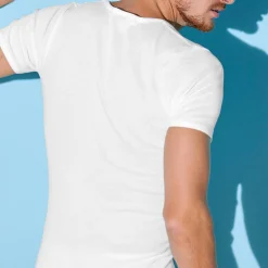 T-shirt met V-hals - herenondergoed, set van 2