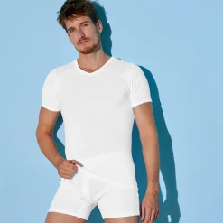 T-shirt met V-hals - herenondergoed, set van 6